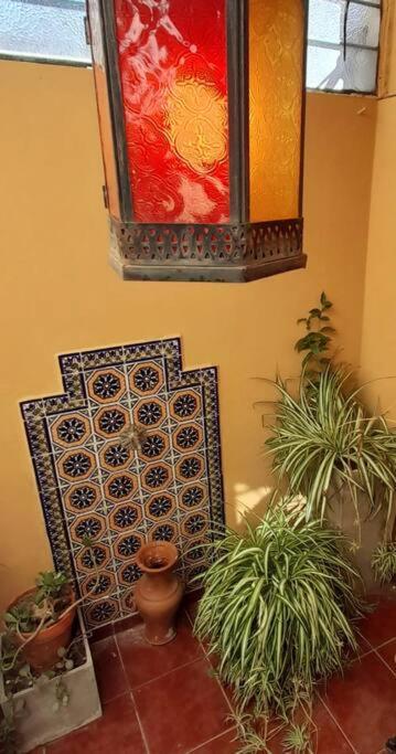 ¨Las Mayolicas¨ Hermoso Depto Con Patio Espanol Mendoza Buitenkant foto
