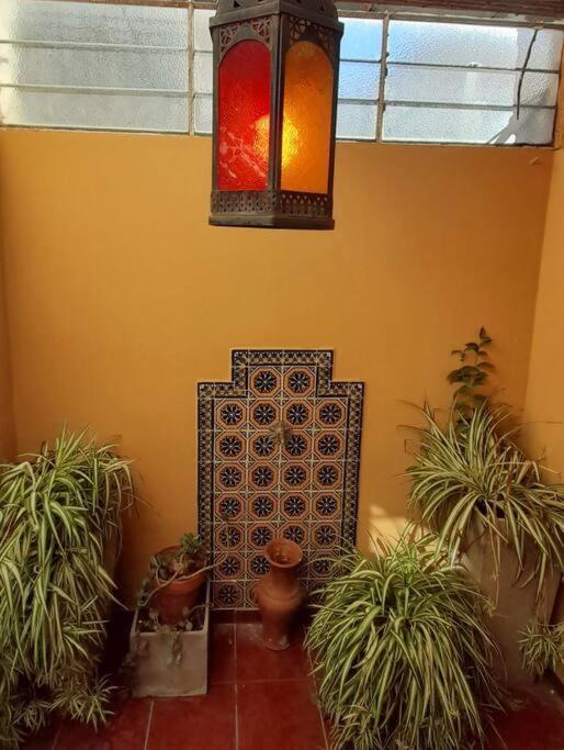 ¨Las Mayolicas¨ Hermoso Depto Con Patio Espanol Mendoza Buitenkant foto